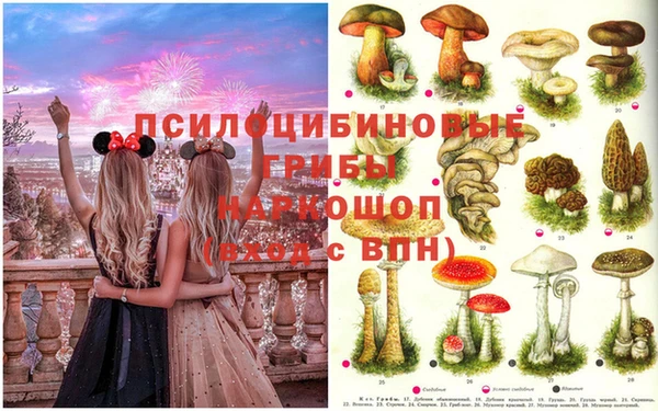 марки lsd Армянск