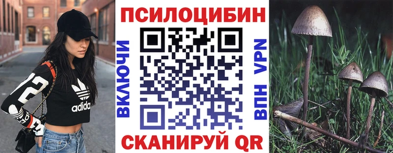 OMG ссылка  Лыткарино  Галлюциногенные грибы Psilocybine cubensis 